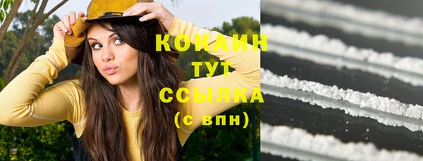 амф Богданович