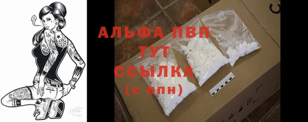 ECSTASY Богородск
