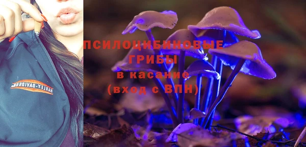 амф Богданович